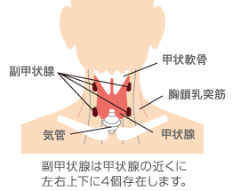 腎性 副甲状腺機能亢進症 阿佐谷すずき診療所